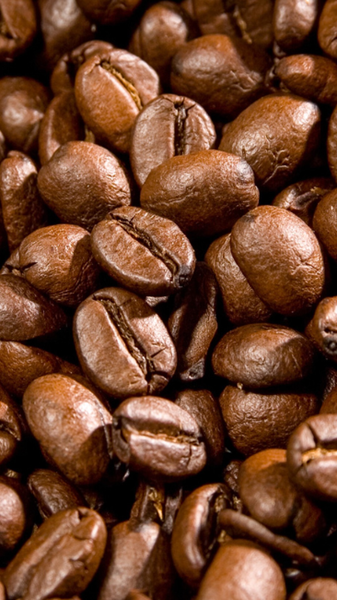 Café arábica e cacau voltam a subir em Nova York