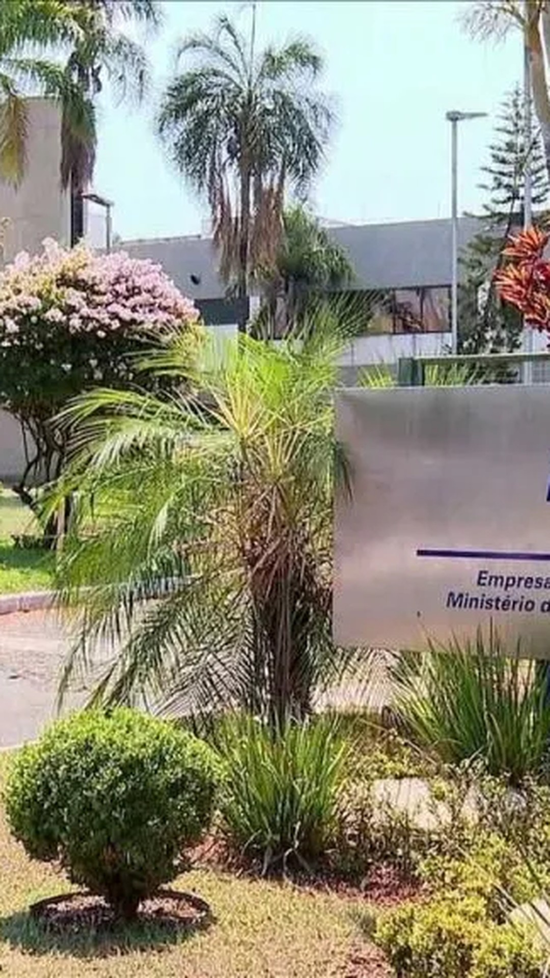 Com déficit de R$ 200 milhões, Embrapa pode ter orçamento ainda menor em 2025
