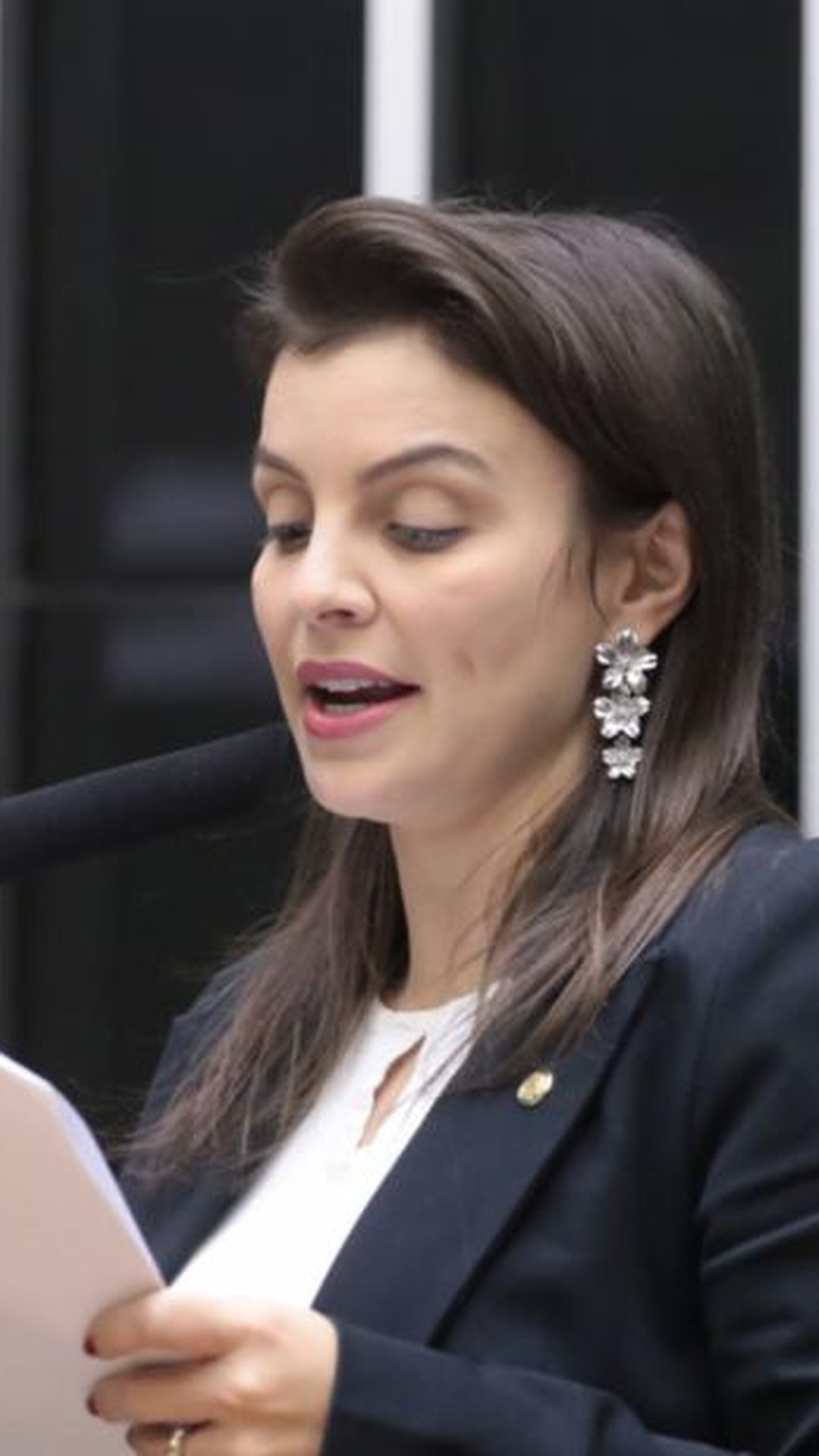 Deputados aprovam fundo da transição energética