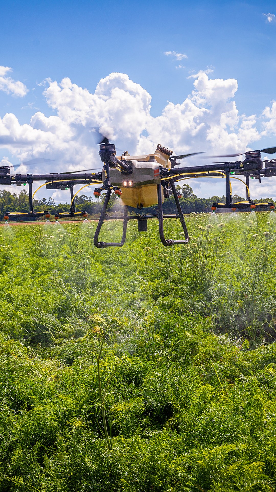 Restrições no exterior afetam produção e inovação no campo