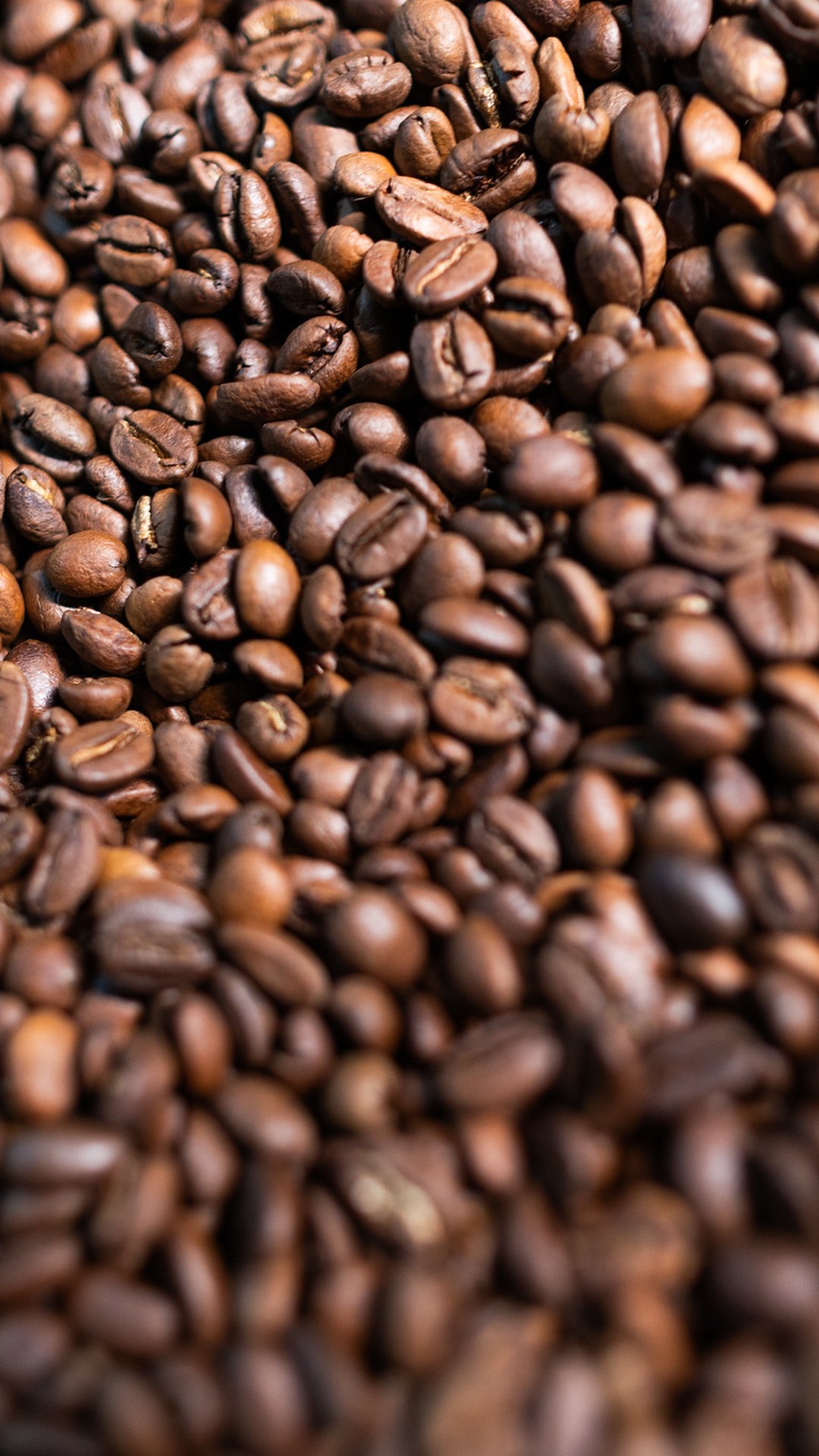 Depois de semanas, café recua em Nova York