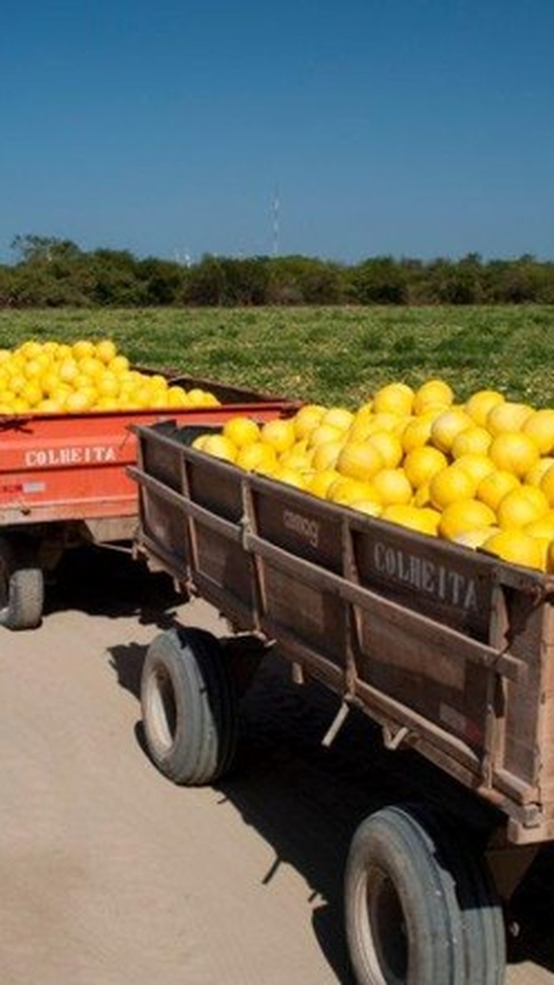 Pressão de produtores europeus não deve limitar acordo com Mercosul