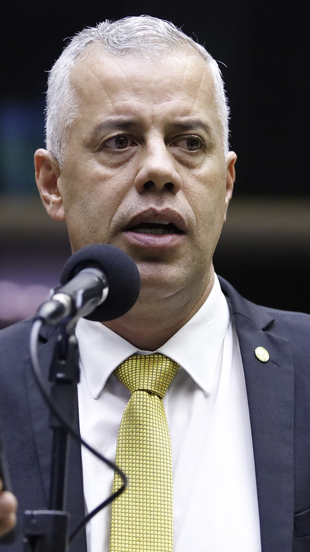 Comissão da Câmara cobra do governo explicações sobre ‘caso Carrefour’