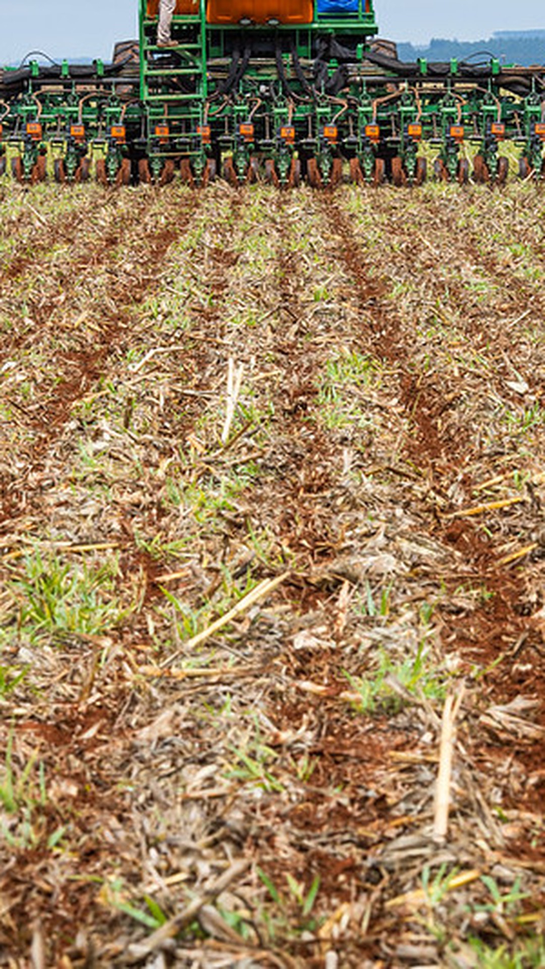 Preço da soja começa a semana em baixa no mercado brasileiro