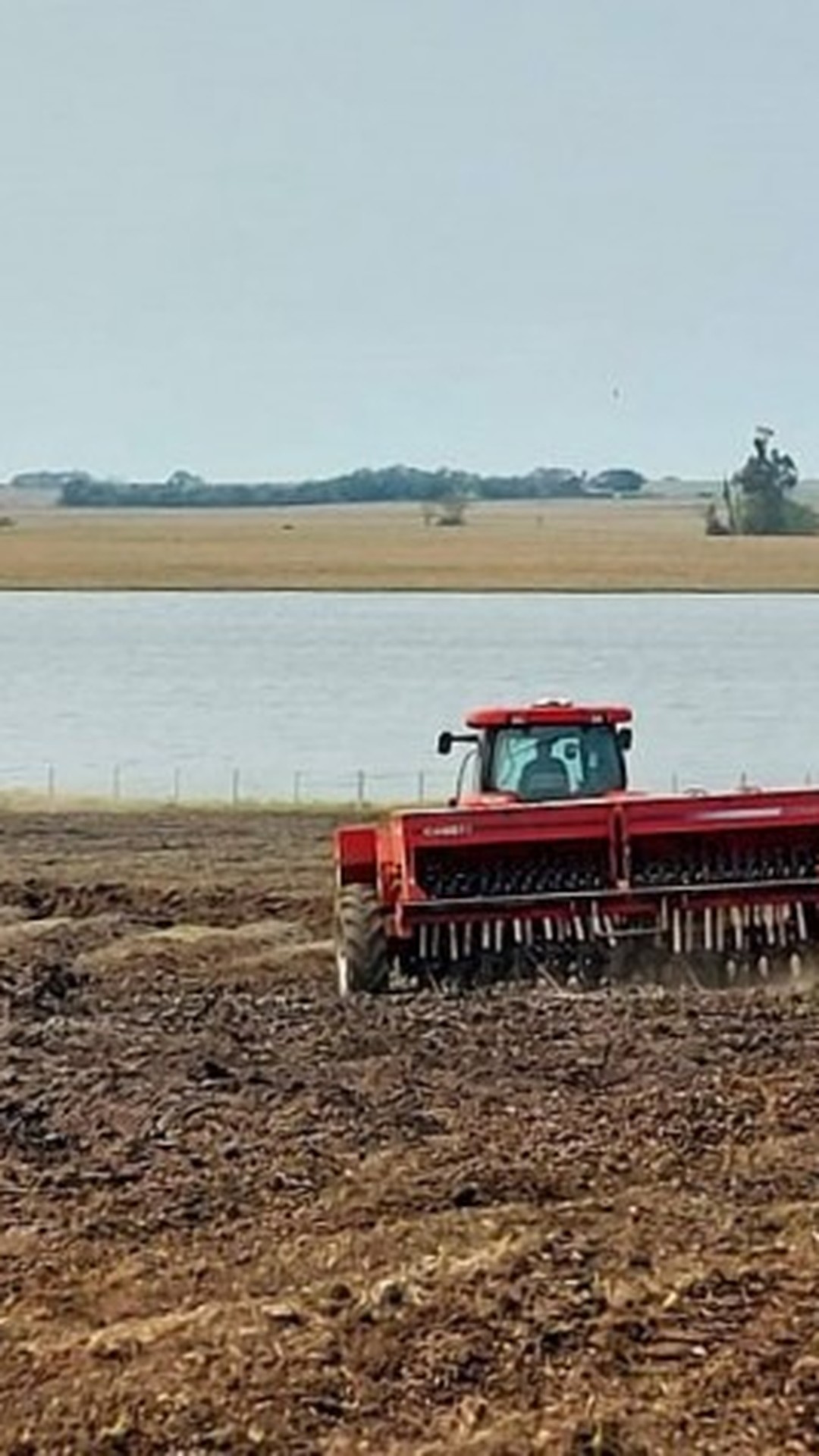 Plantio de arroz chegou a 84,11% da área no Rio Grande do Sul